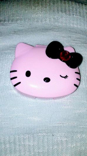 Hello Kitty Case