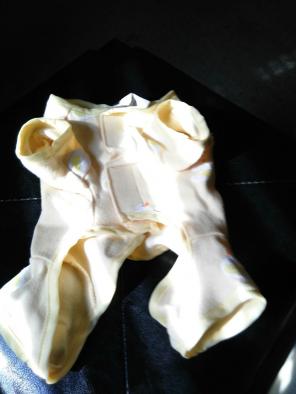 Dog clothes xs