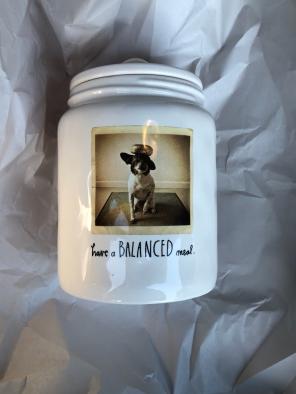 Rae Dunn Pet Canister