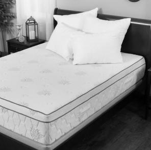 Aloe infused queen memory foam pillow to