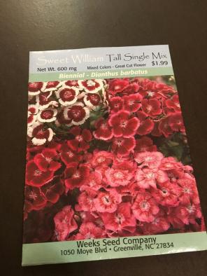 Sweet William Flower Seeds 1 Package