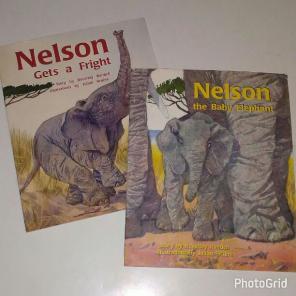 Nelson the Baby Elephant