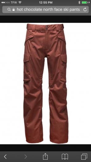 The North Face Ski Pants Men's Large