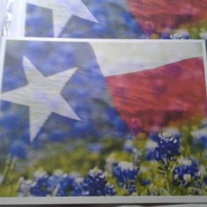 WWB-139/Note Cards/TX Flag - Blue Bonnet