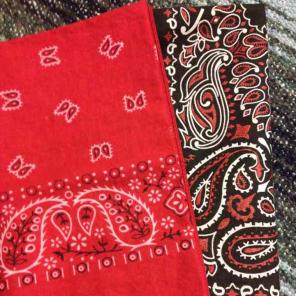 Last $ Drop/ NWOT Two Handkerchiefs