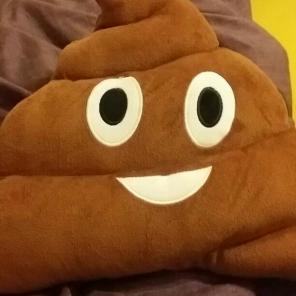 Poop emoji pillow
