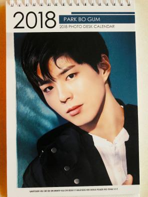 Park Bo-Gum 2018 -2019 Calendar