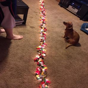 Chicago Blackhawks Lighted Garland