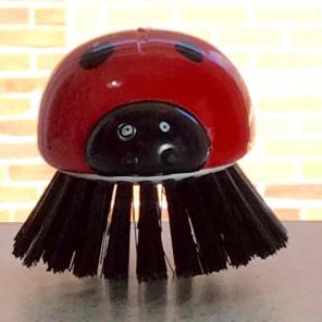 Lady Bug scrub brush for cleaning house