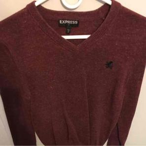 Express V-neck sweater
