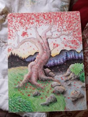 Drawings!