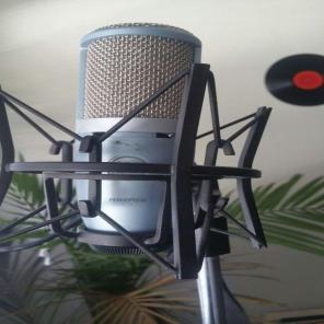 AKG Perception 220 Condernser mic