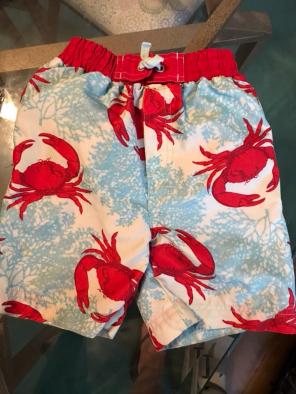 3t Swim Trunks