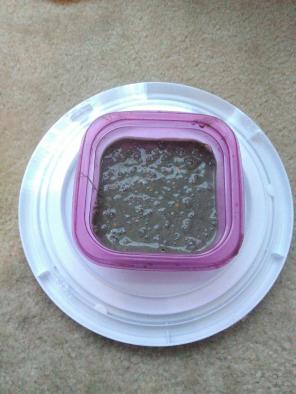 6oz of olive green slime w/ gold glitter