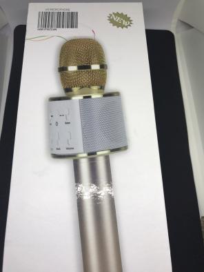 Karaoke Microphones