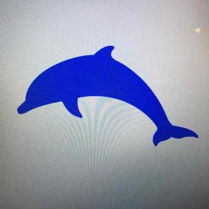 Dolphin Vinyl Decal