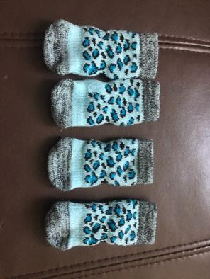 Doggie Socks