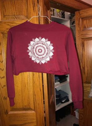 Pacsun Crop Sweatshirt