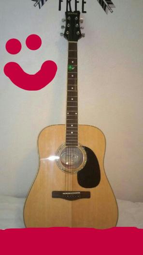 Guitar. Mitchell MD 100.