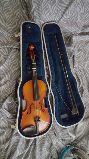 Viola