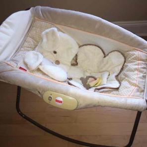 Fisher price rock and play snugapuppy
