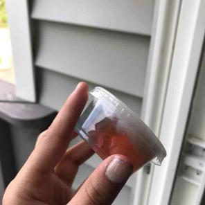 American slime