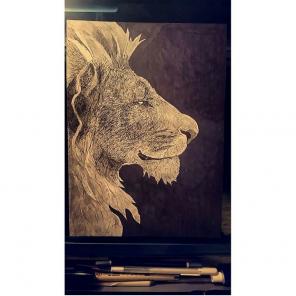 Superb Lion drawing
