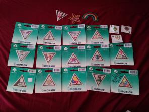 Girl scout pins/patche from 2008-2010ish
