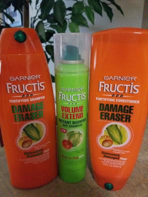 Garnier Fructis Shampoo & Conditioner