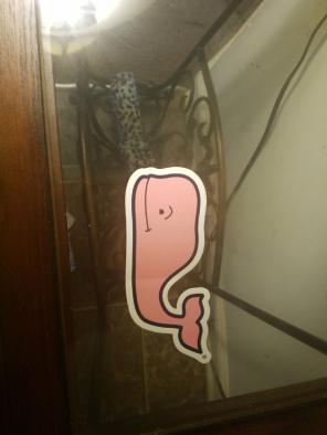 Pink vineyard vines whale