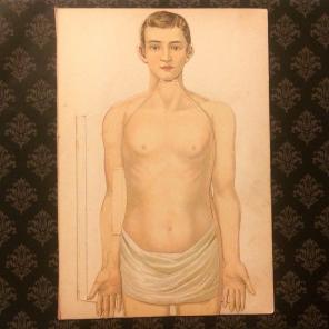 Antique Pop Up Print Anatomy Of A Man