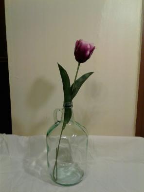 1 gallon wine glass jug