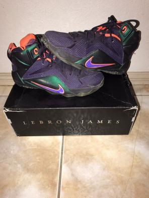 Lebron 12 GS "instinct"