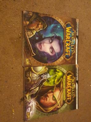 World of warcraft player guides