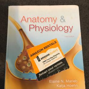 Anatomy & Physiology