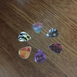 6 Assorted Picks
