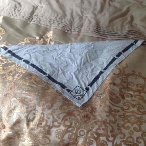 Bear cub boy scouts handkerchief