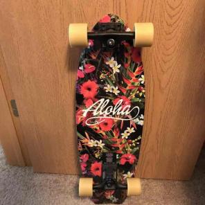 longboard cruiser