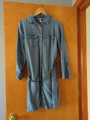 Maternity Chambray Shirt Dress