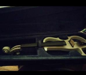 Cecilio electric violin with case