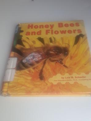 Honey bee book