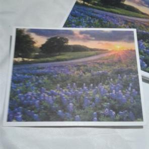 WWB-152/Note Cards/Texas Bluebonnets