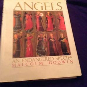 Angels