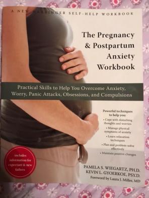 Pregnancy & Postpartum Anxiety Book