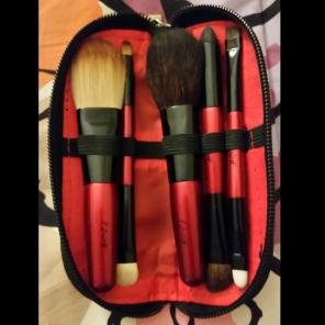 Posh 5 Piece Mini Brush Kit w/ Zip Purse