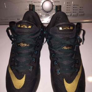 Nike zoom Lebron James 23