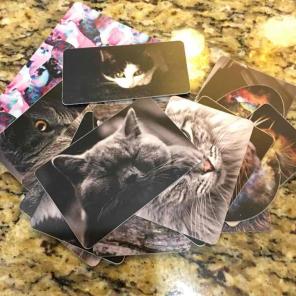 Premium Cute Cat Stickers FREE SHIPPING