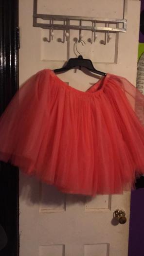 Coral Fluffy Tutu Tutu Skirt