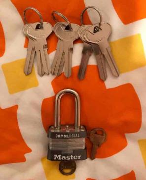 LOT Master lock and 9 Uncut keys
