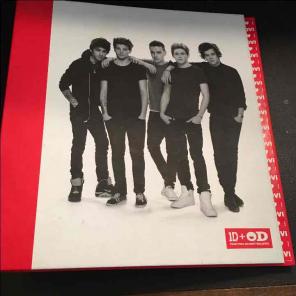limited edition one direction binder